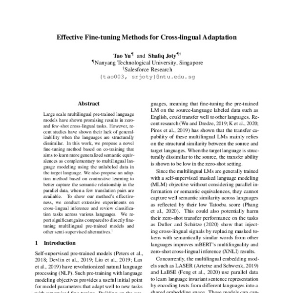 Effective Fine-Tuning Methods for Cross-lingual Adaptation - ACL Anthology