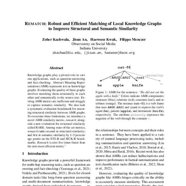 REMATCH Robust and Efficient Matching of Local Knowledge Graphs to