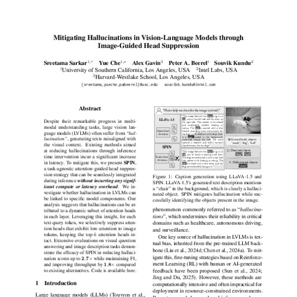 Mitigating Hallucinations in Vision-Language Models through Image ...