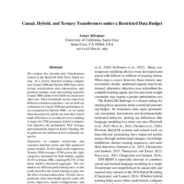 Causal, Hybrid, and Ternary Transformers under a Restricted Data Budget ...