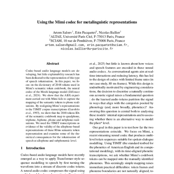 Using the Mimi codec for metalinguistic representations