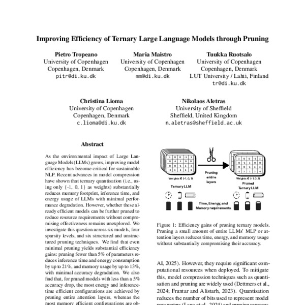 Improving Efficiency of Ternary Large Language Models through Pruning ...