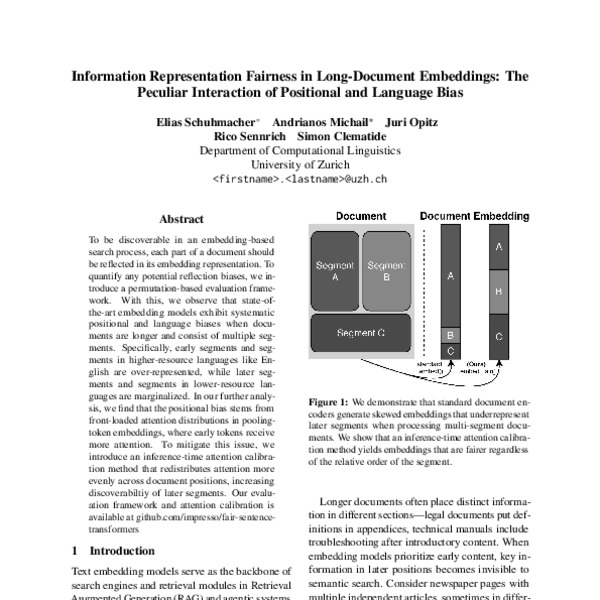 Information Representation Fairness in Long-Document Embeddings